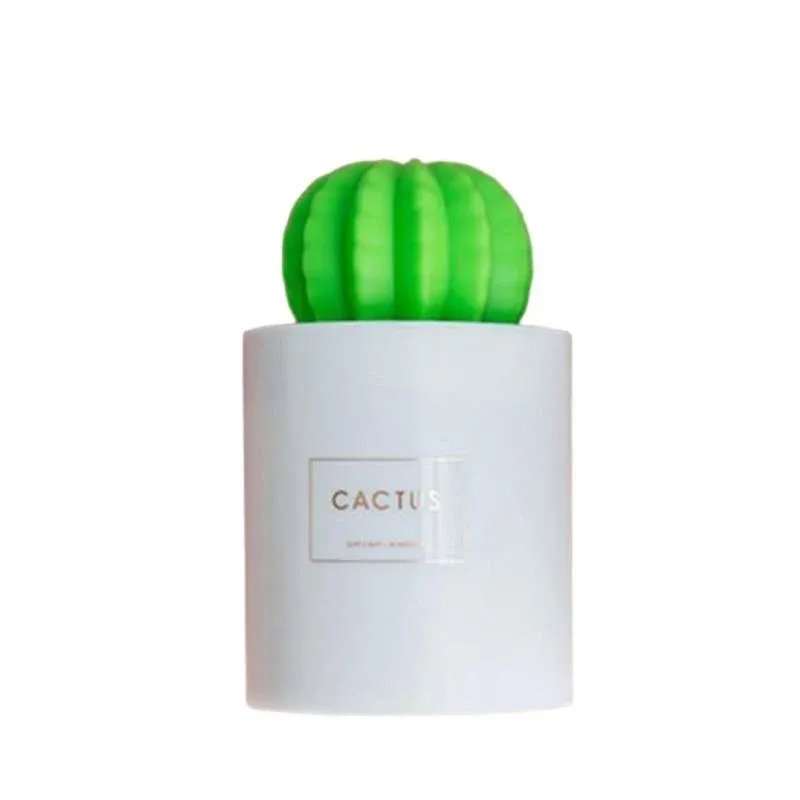 Humidificateur d'air cactus