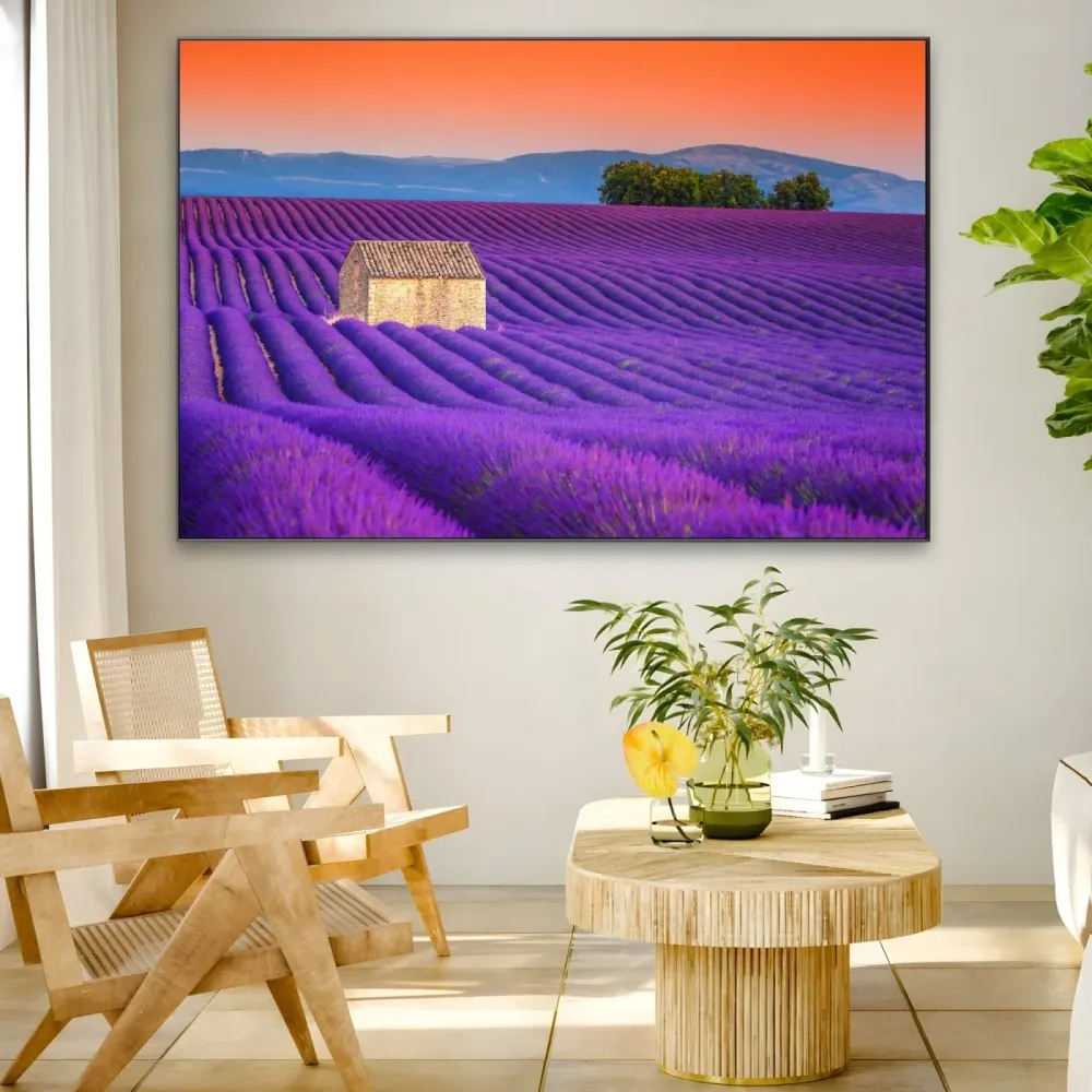 Champs de lavande, Valensole OGC