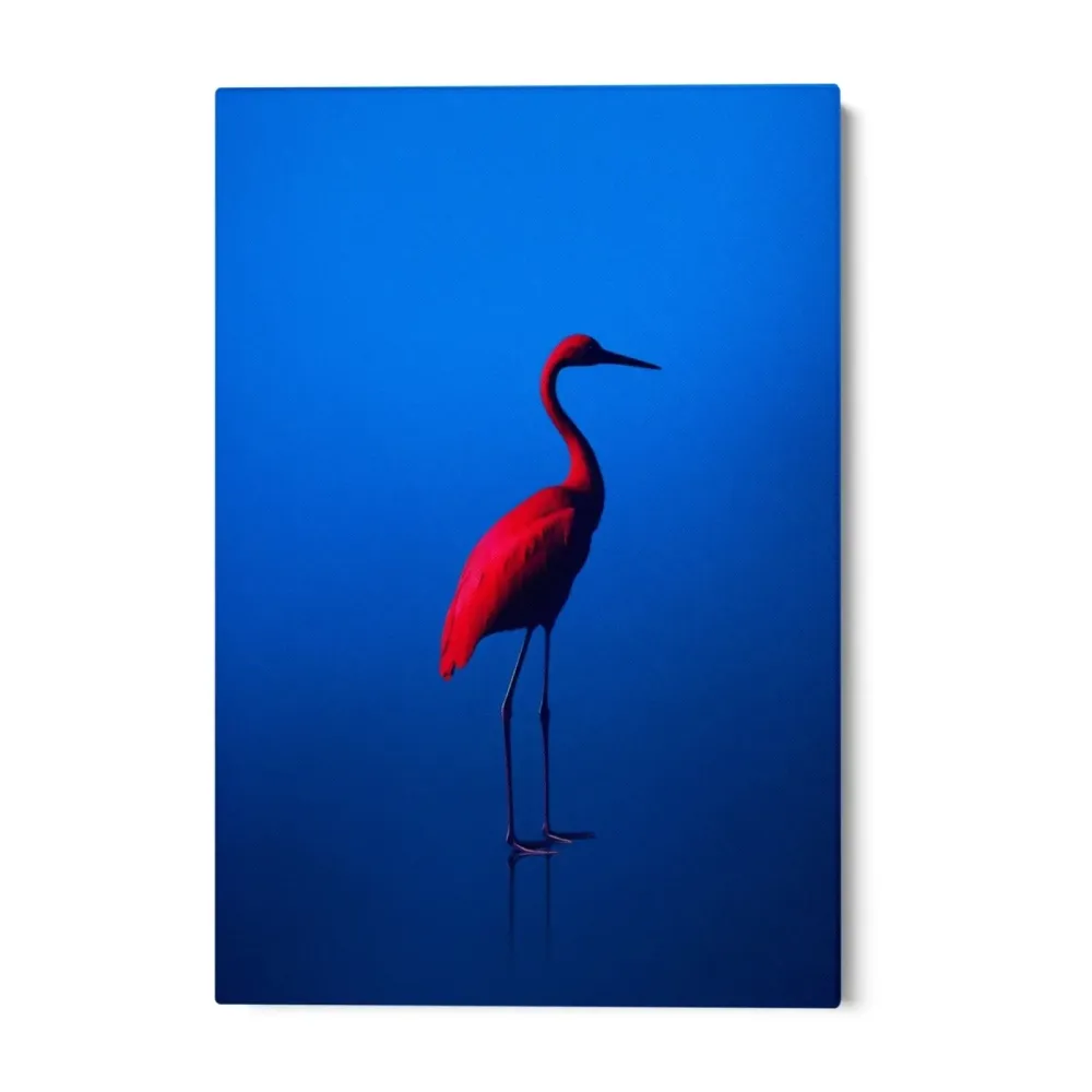 rouge Bleu OGC
