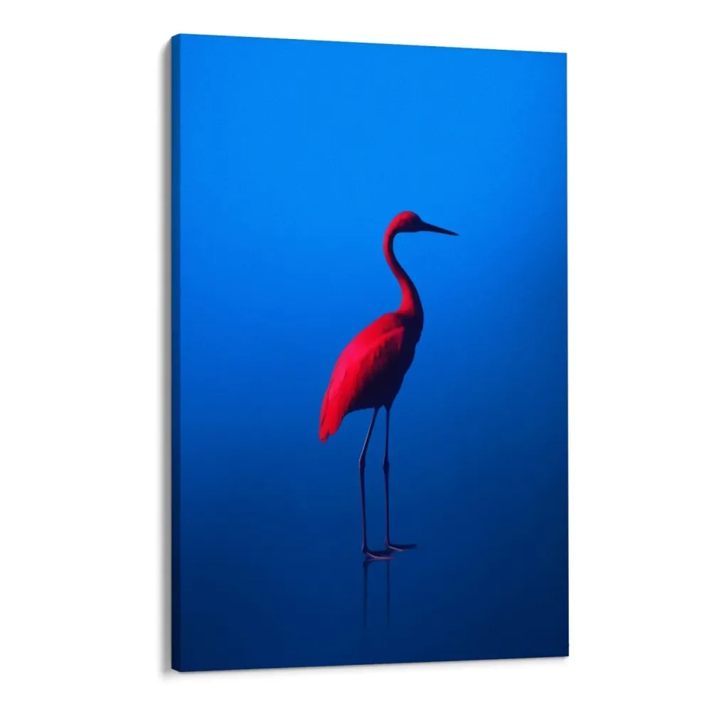 rouge Bleu OGC