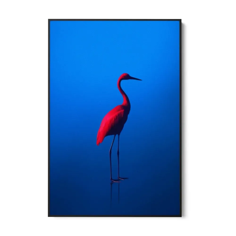 rouge Bleu OGC