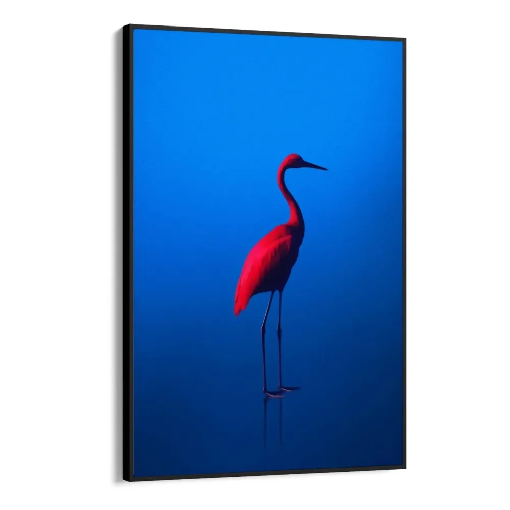 rouge Bleu OGC