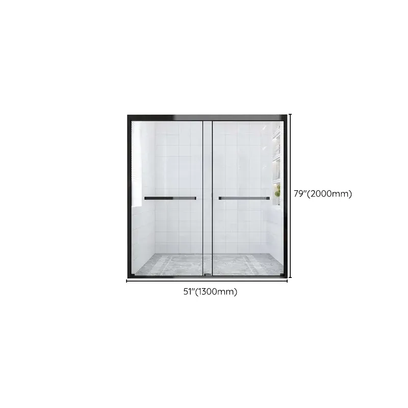 Porte de douche contemporaine à cadre en acier inoxydable, double porte de douche coulissante Clearhalo