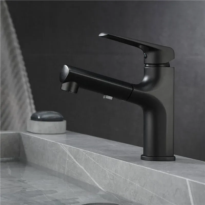 Robinet à levier de style contemporain avec poignées à levier pour salle de bain Clearhalo