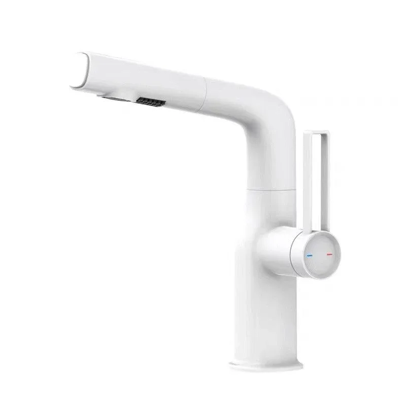 Robinet de salle de bains moderne pour lavabo, bec pivotant avec pulvérisateur extractible Clearhalo