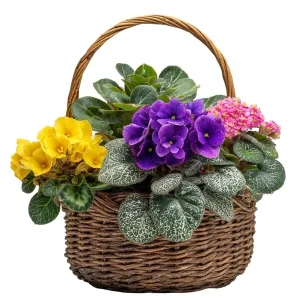 Panier de jardinière fleuri Your Vendor Name
