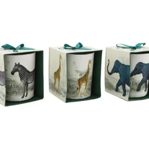 Bougie en pot Safari 8 x 10 cm (Lot de 3)