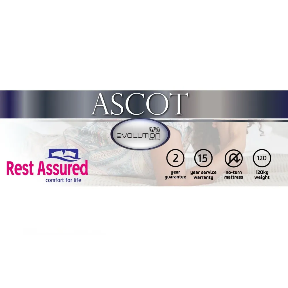 Rest Assured Ascot Bed King Dimensions 35 x 25 cm