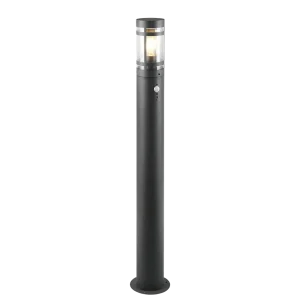 Borne Paloma détecteur gm R41719142