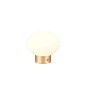 Lampe EARL blanche TRIO R57771101