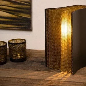 Lampe LIVRET LUCIDE 78596/01/30