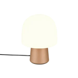 Lampe Steen marron TRIO 568200165