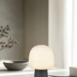 Lampe STEEN noire TRIO 568200132
