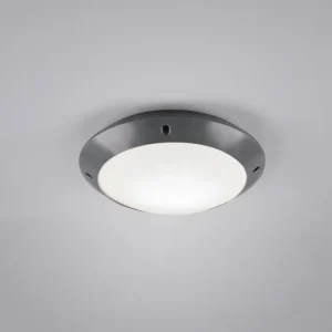 Plafonnier Camaro anthracite pm R60501042