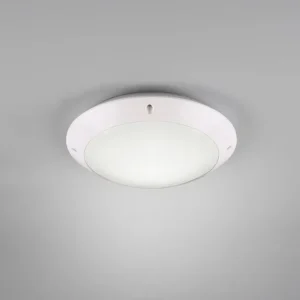 Plafonnier Camaro blanc pm R60501031