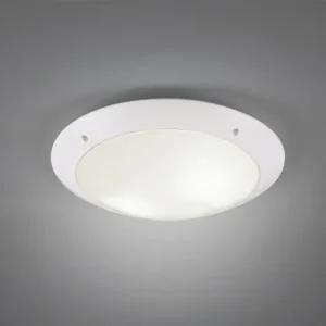 Plafonnier Camaro blanc gm R60502031