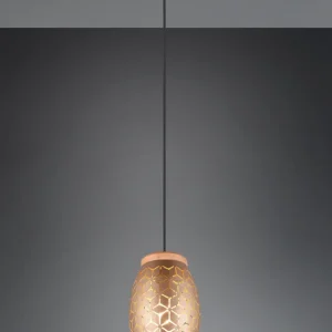 Suspension Bidar R31571065