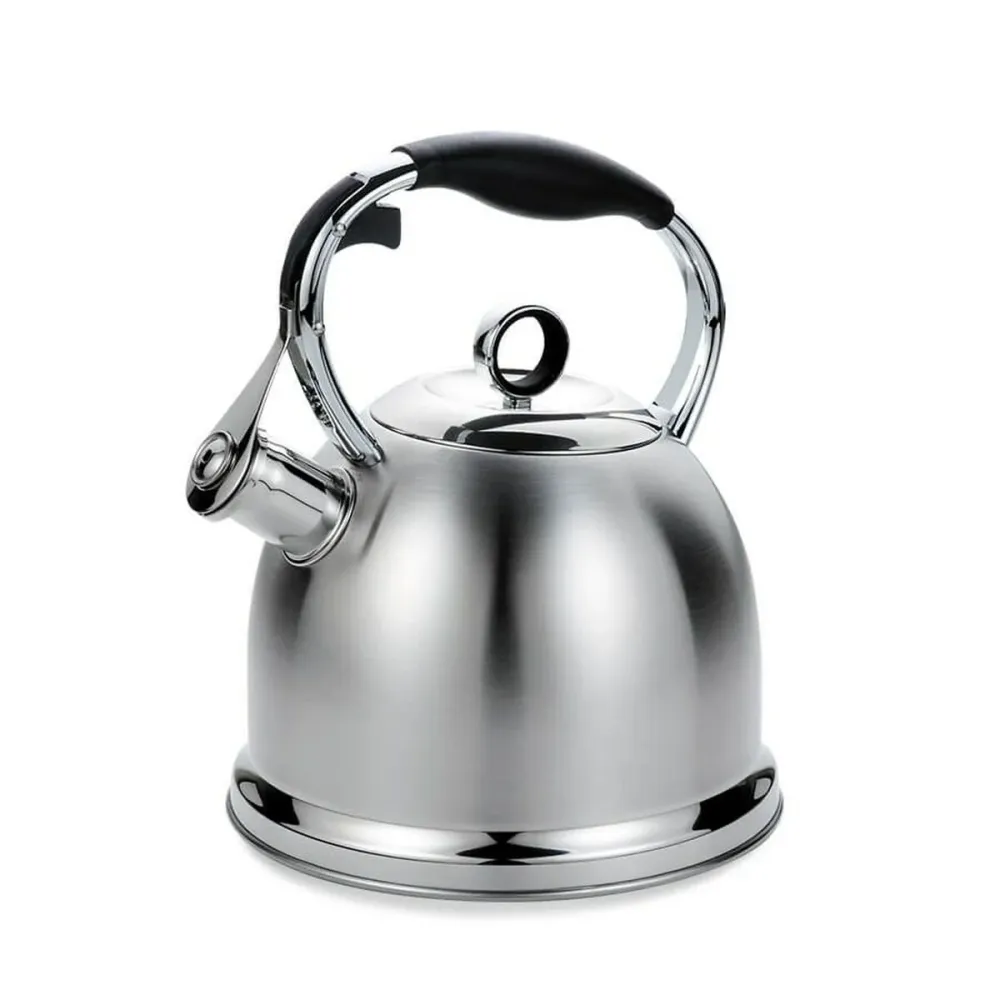 Bouilloire Feel Maestro MR-1334 Noir Acier inoxydable 2,9 L