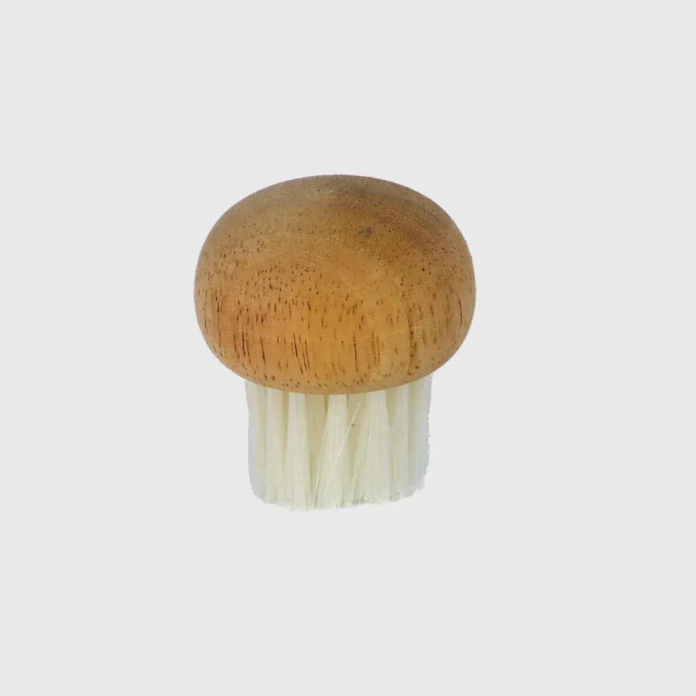 Brosse à champignons - mushroom brush