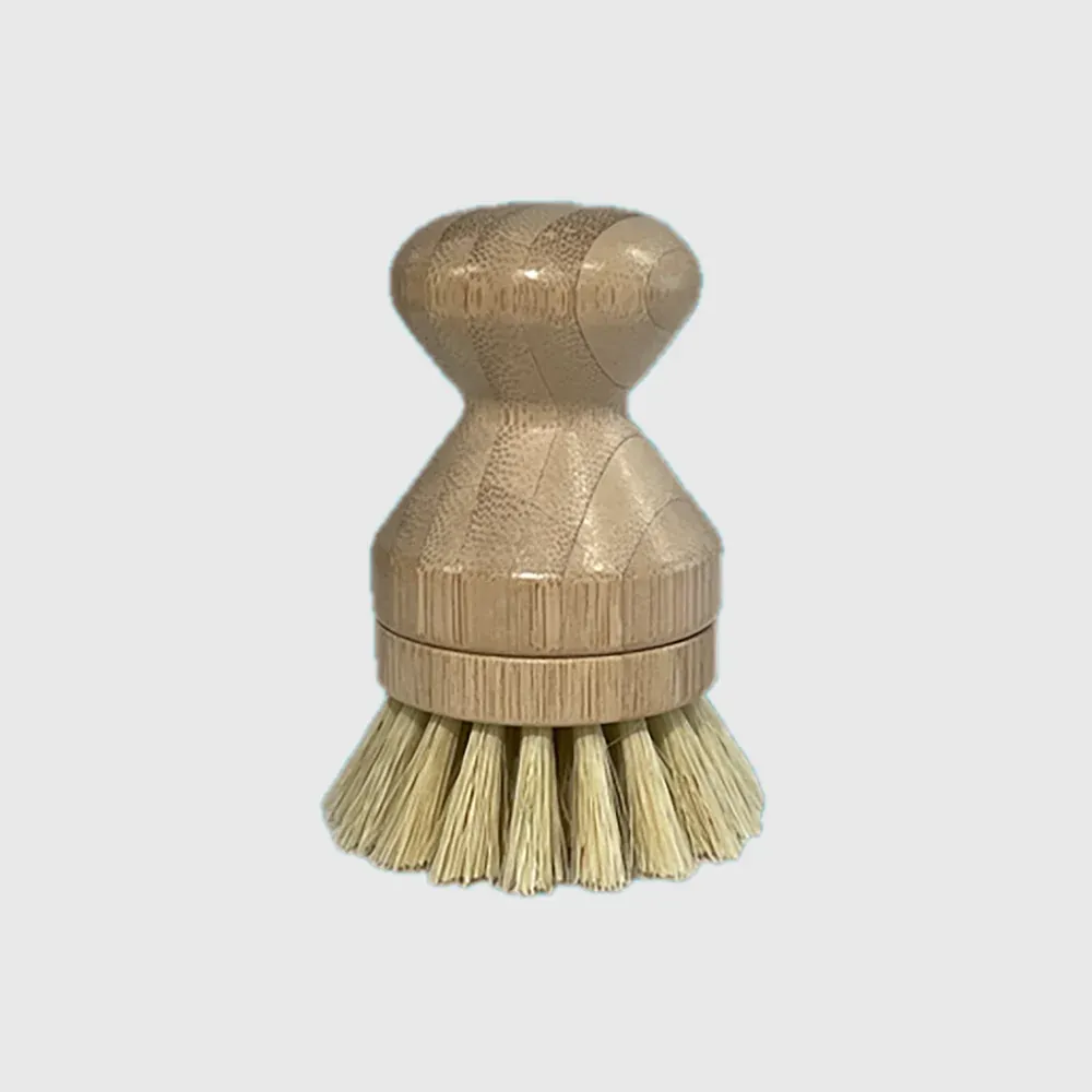 Brosse pomeau à vaisselle/légume à tête remplaçable qui visse