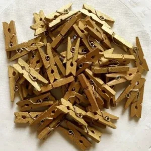 Clips de garnitures dorées (20)