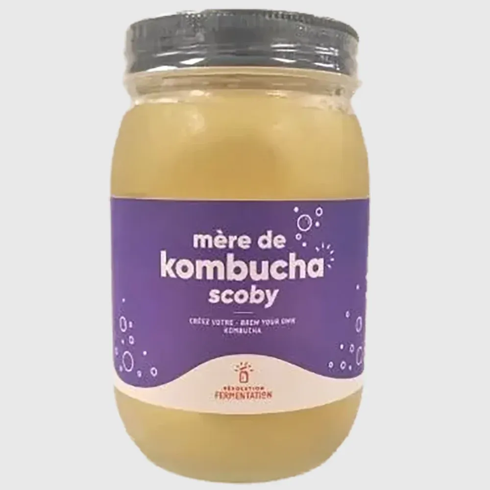 Mère Kombucha - Emballage verre 450ml