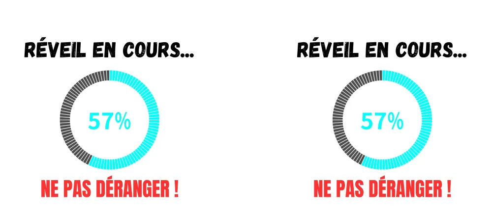 Mug humour "Réveil en cours ..., ne pas déranger !"