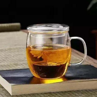 Mug en verre avec infuseur et couvercle en verre (500 ml)