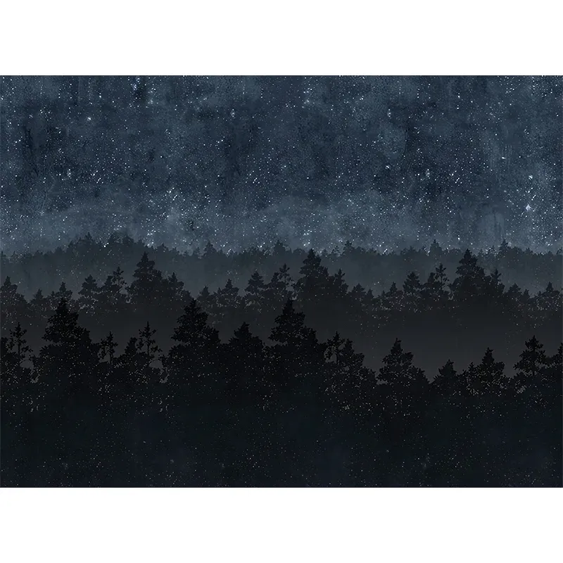 Illustration Night Forest Wall Art Full Size Wall Mural Decal pour cuisine, taille personnalisée disponible Clearhalo