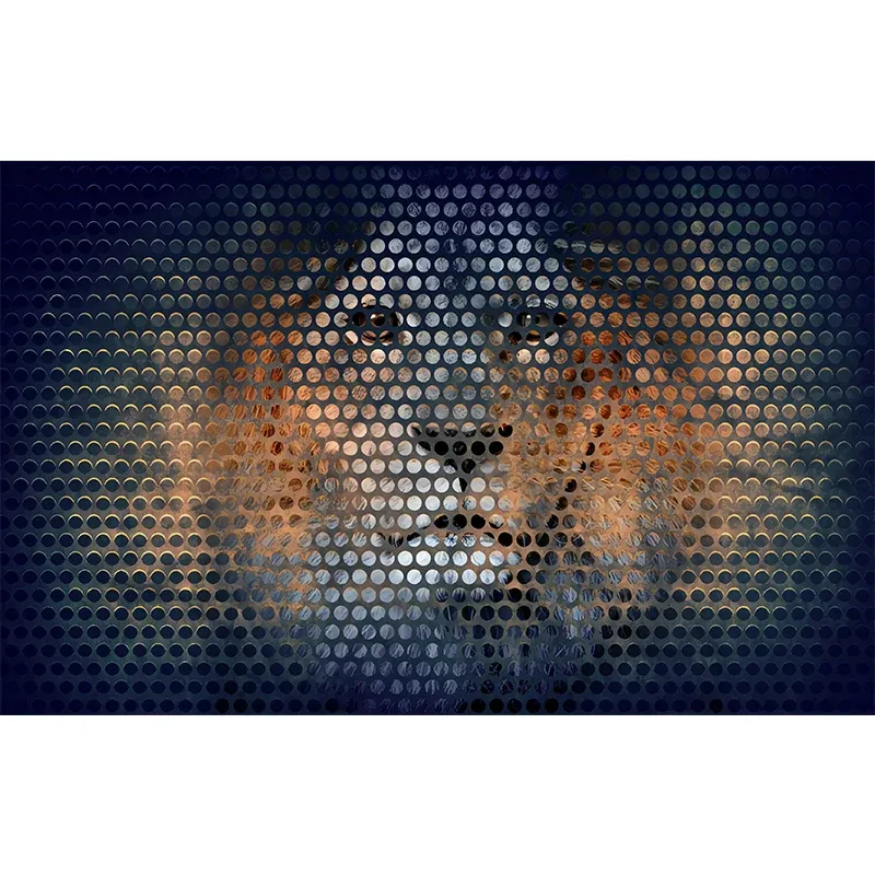 Papier peint mural minimaliste orange et noir, revêtement mural tête de lion imprimé sur mesure pour mur d'accent Clearhalo