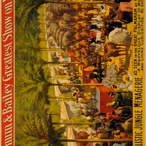 Poster Spectacle Vintage Éternel Vintage