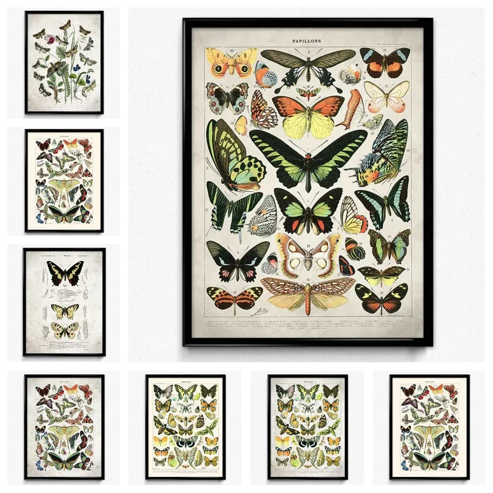 Vintage Insect Poster Éternel Vintage