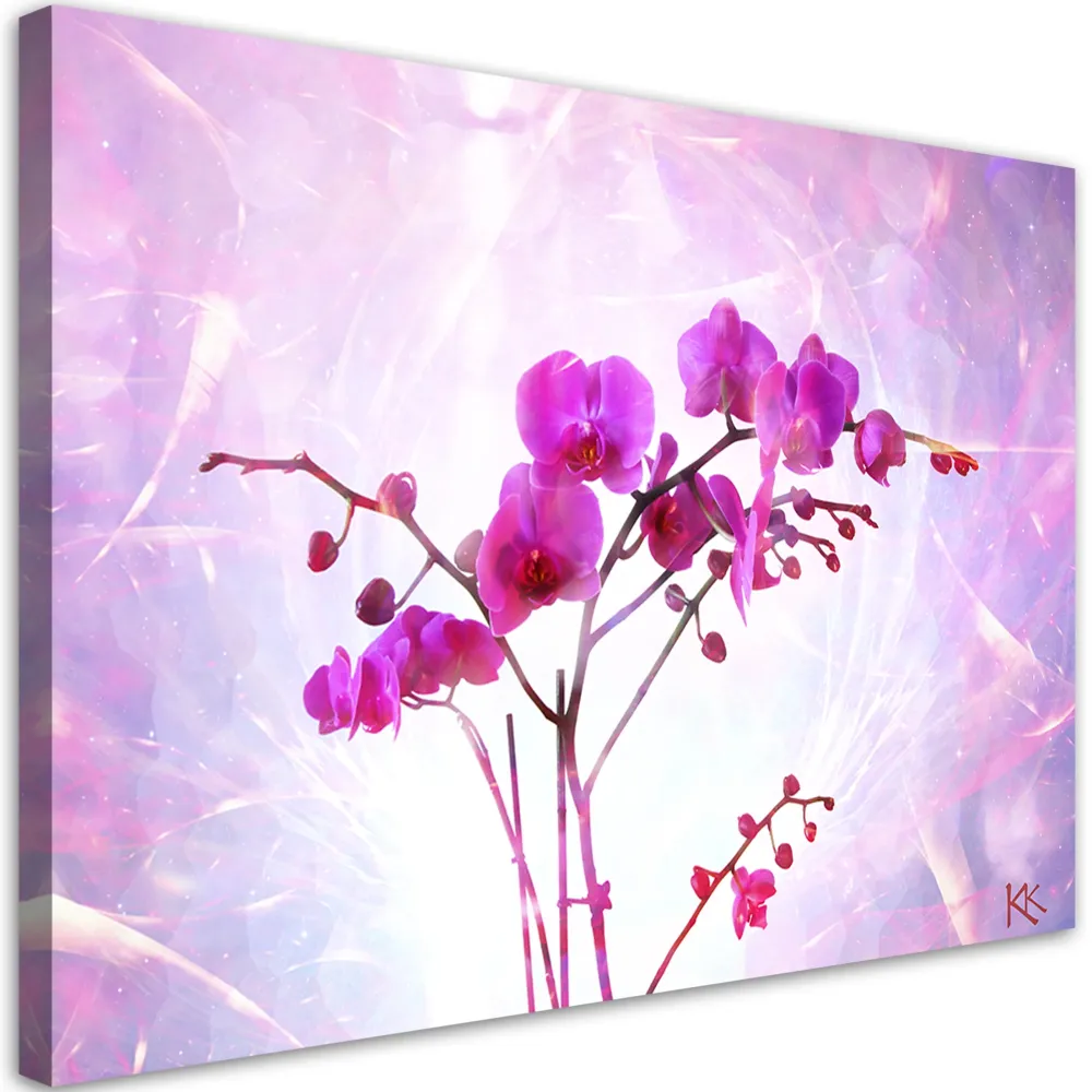 Impression sur toile, fleur d'orchidée 60x40 Feeby
