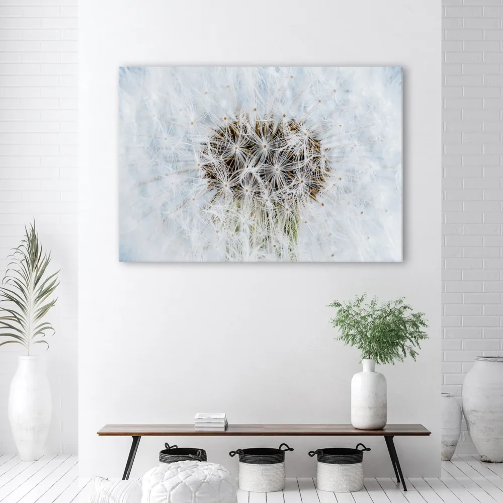 Impression sur toile, fleurs de pissenlit blanches 60x40 Feeby