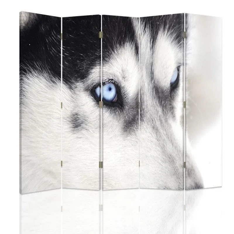 Paravent double face, motif husky de Sibérie Feeby