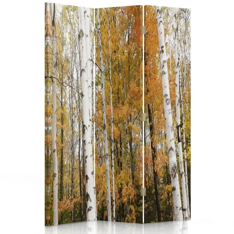 Paravent double face pivotant, motif bouleau en automne Feeby