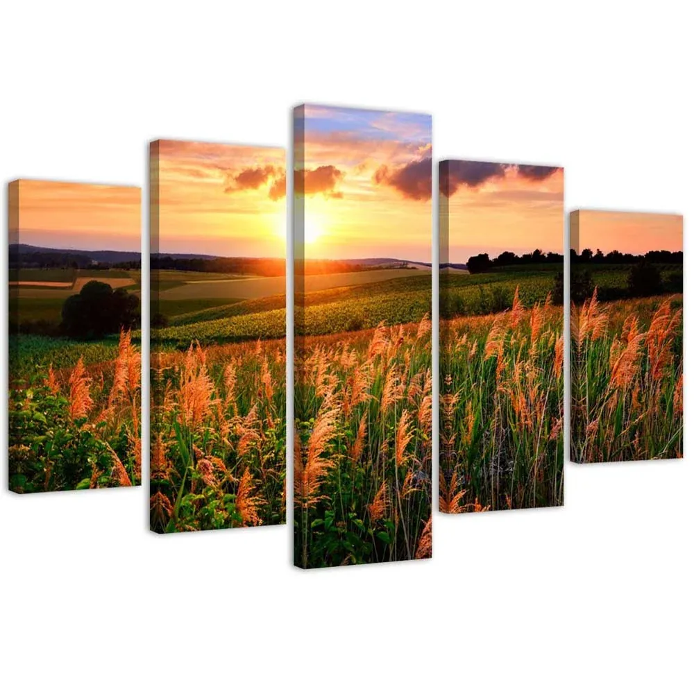 Tableau en cinq parties sur toile, Coucher de soleil sur une prairie 100x70 Feeby