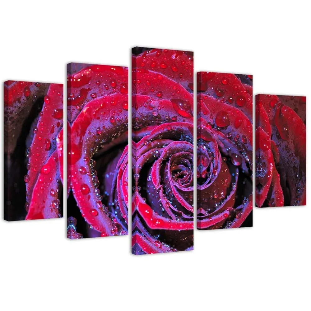 Tableau en cinq parties sur toile, Rose goutte de rosée 100x70 Feeby
