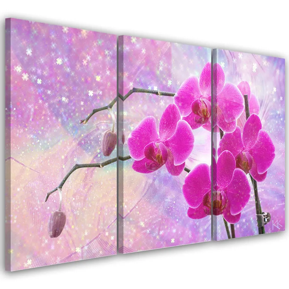 Tableau en trois parties sur toile, motif abstrait d'orchidée 60x40 Feeby