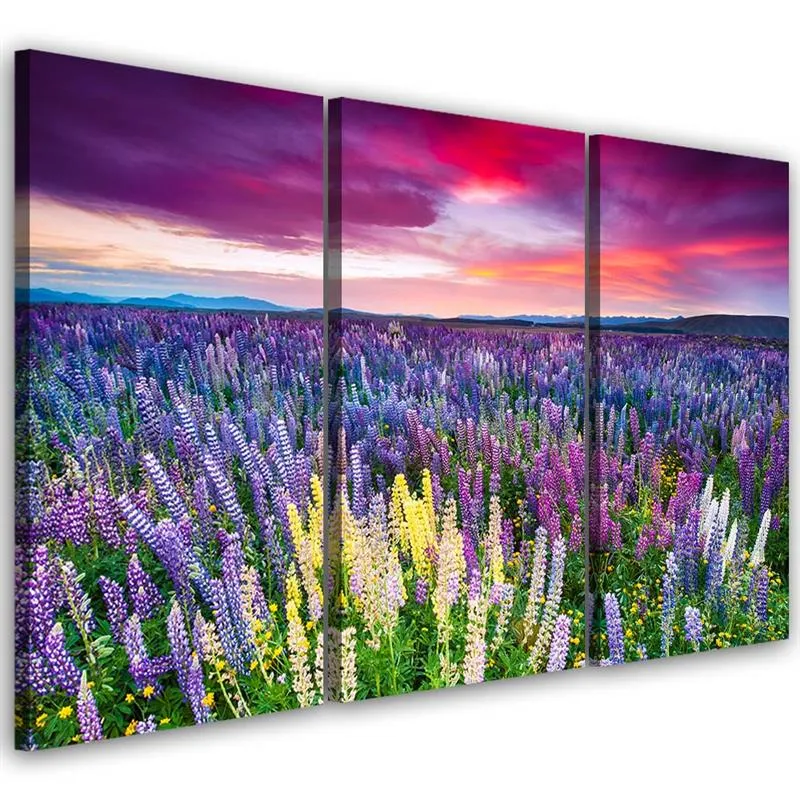 Tableau en trois parties sur toile, Prairie fleurie 60x40 Feeby