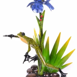 Aurore Frogman - Tim Cotterill