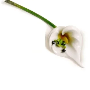 Calla Lily Frogman - Tim Cotterill