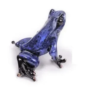Cosmos Frogman - Tim Cotterill