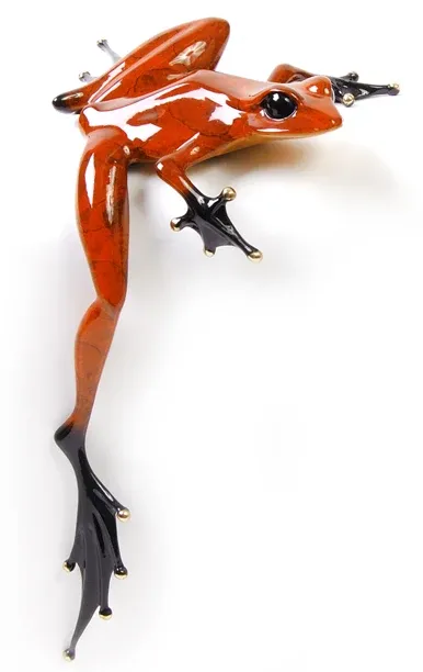 Gueule de bois Frogman - Tim Cotterill