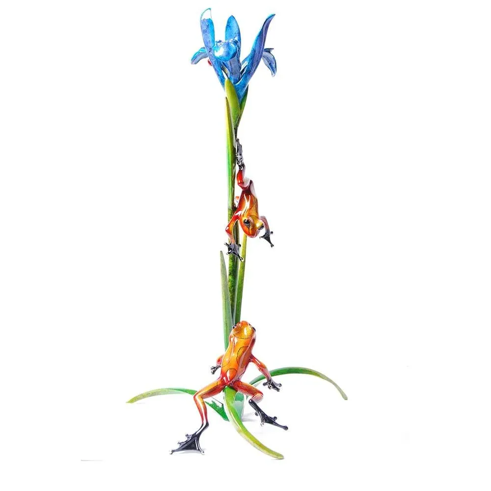 Iris Frogman - Tim Cotterill