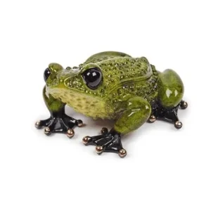 Prince charmant Frogman - Tim Cotterill