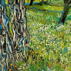 Troncs d'arbres dans l'herbe (1890) My Store