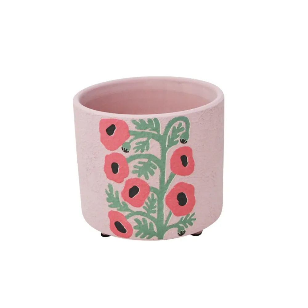 Pot De Fleurs Échinacée Nostalgia
