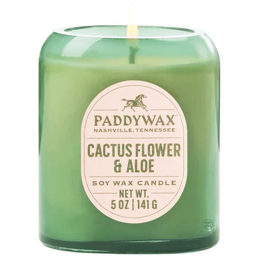 PADDYWAX VISTA CACTUS GREEN GLASS CANDLE CACTUS FLOWER & ALOE