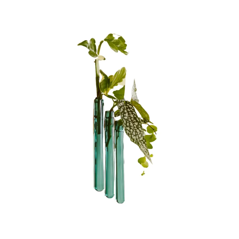Pack de 3 vases muraux Sélectionné par Fleux
